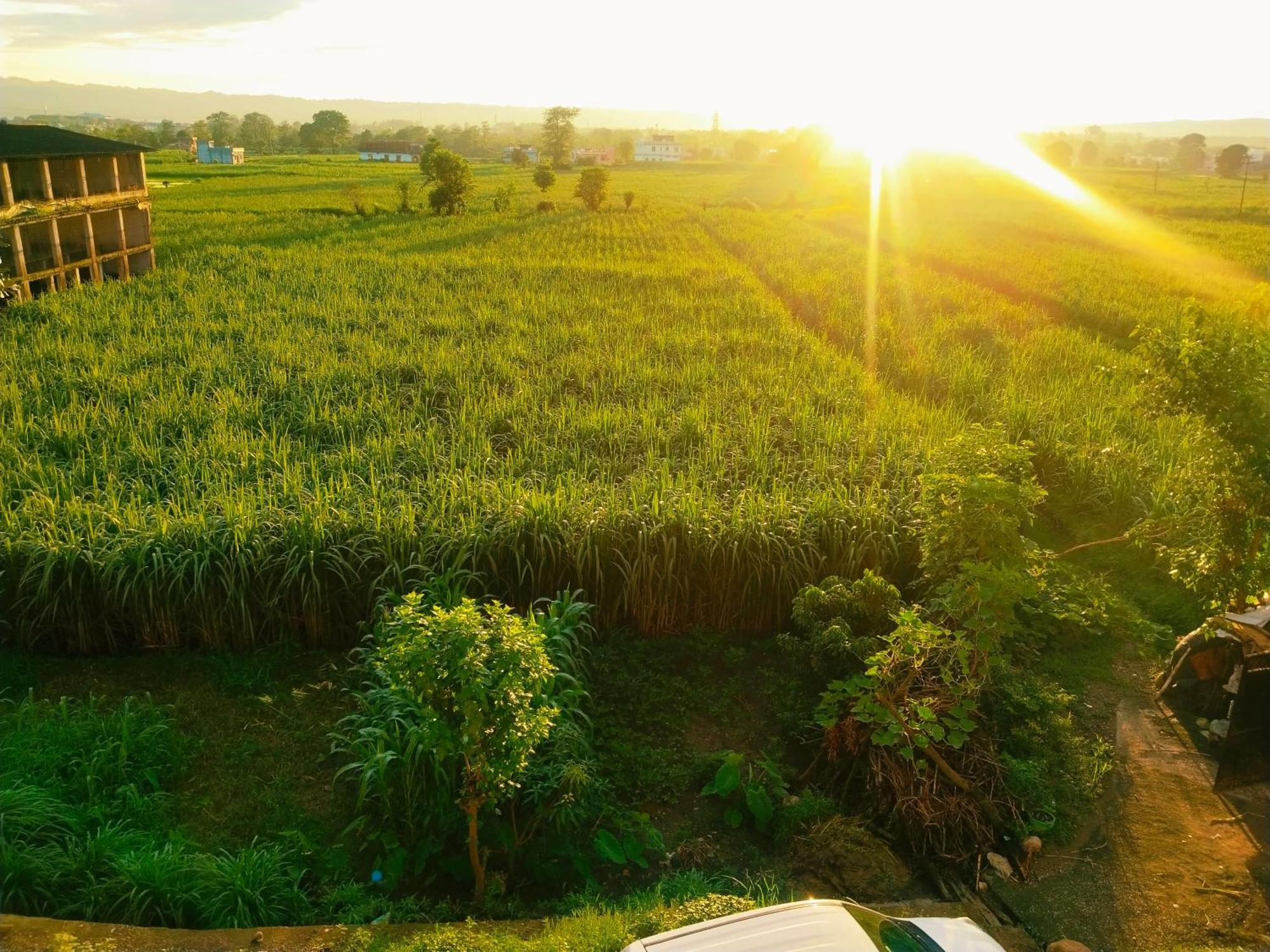 Airport Luxury Nature Homestay- Near Jolly Grant Airport Dehradun Doiwala Exterior photo