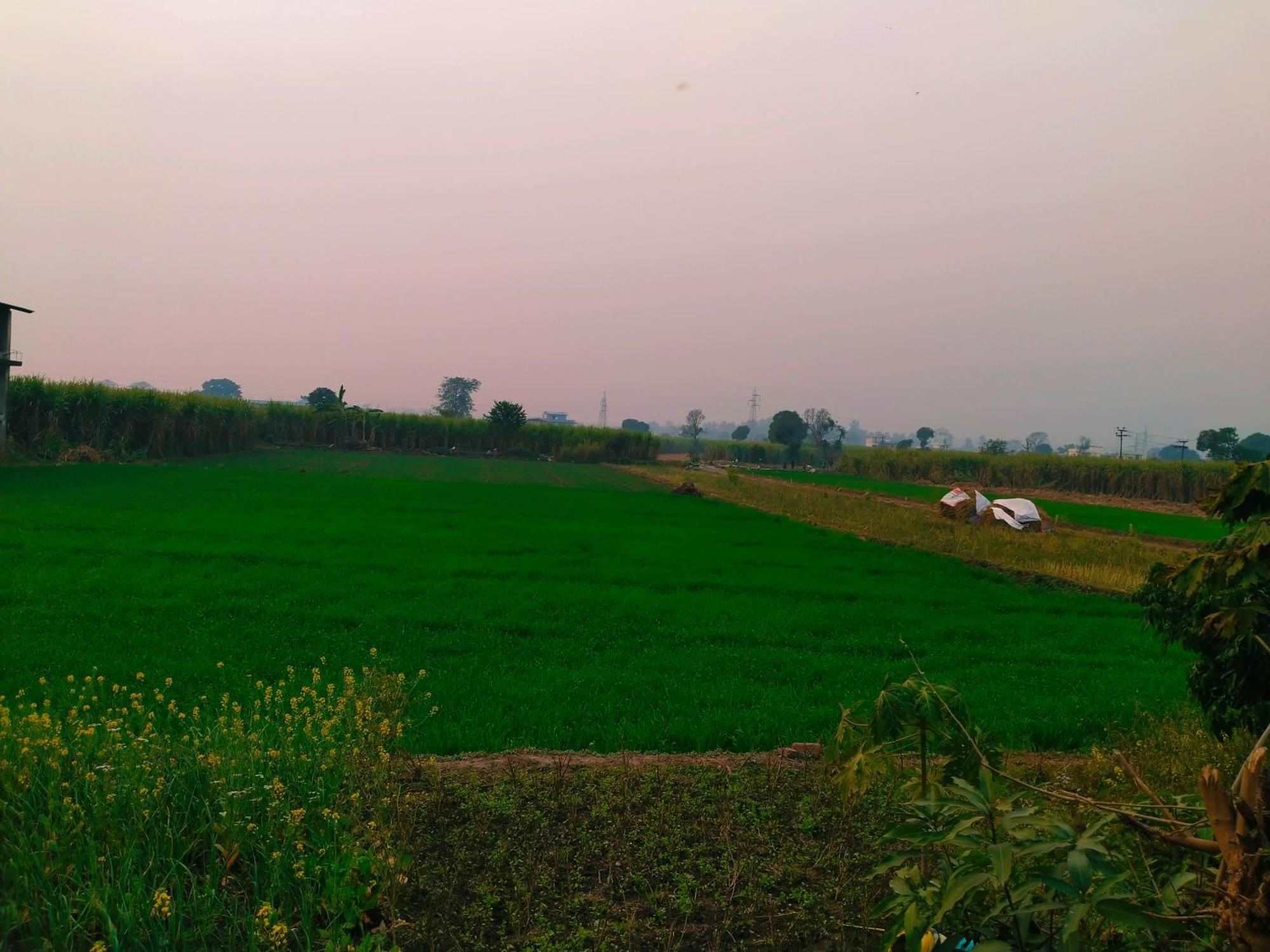 Airport Luxury Nature Homestay- Near Jolly Grant Airport Dehradun Doiwala Exterior photo
