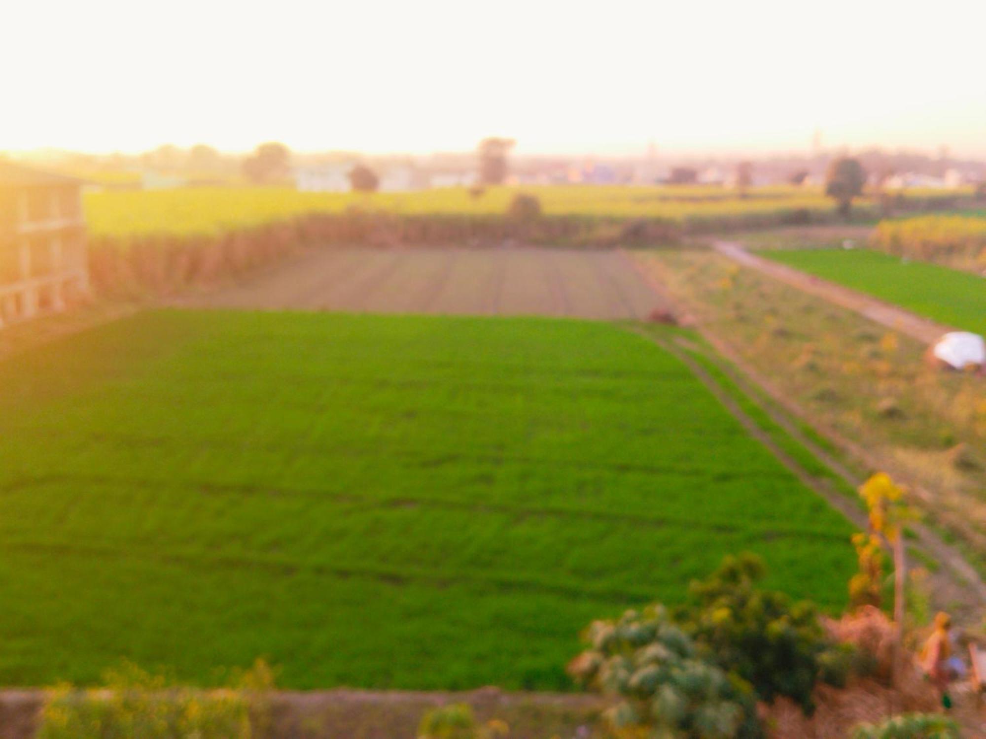 Airport Luxury Nature Homestay- Near Jolly Grant Airport Dehradun Doiwala Exterior photo